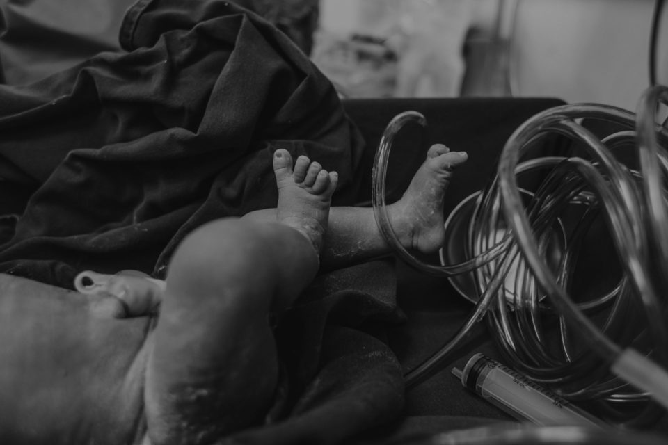 NASCIMENTO DE CLARICE